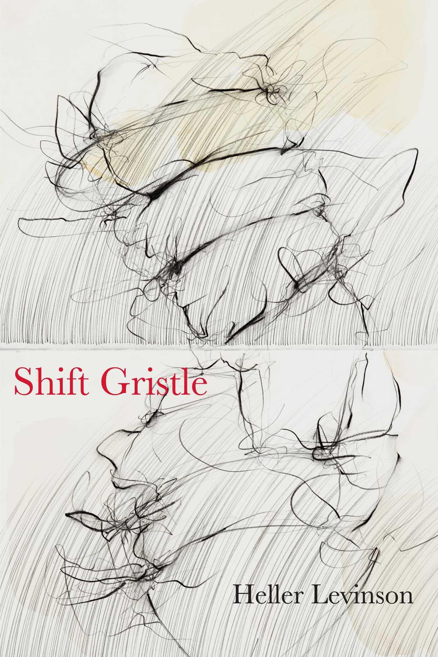 Vorderes Coverbild Shift Gristle
