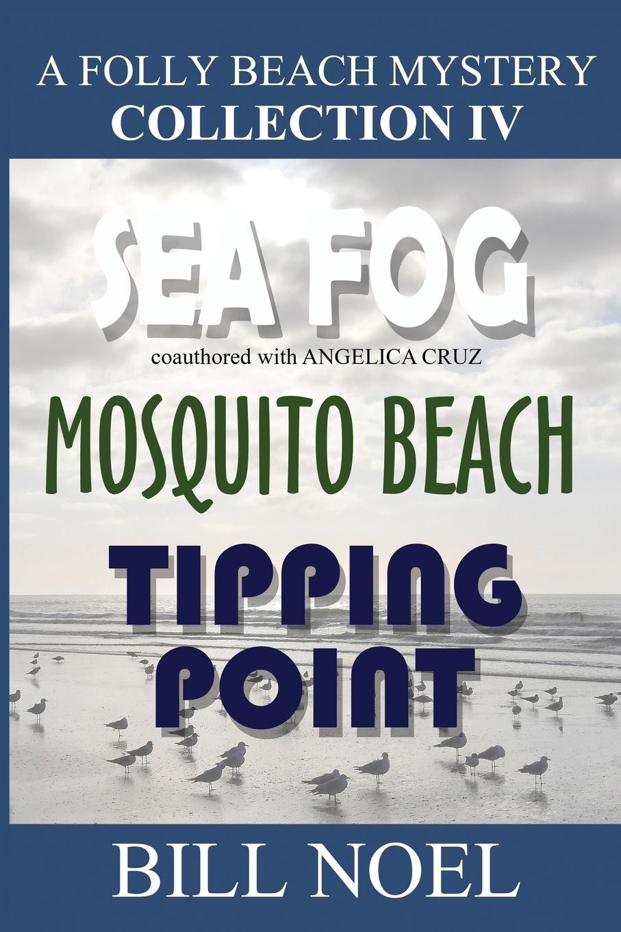 Vorderes Coverbild A Folly Beach Mystery Collection IV