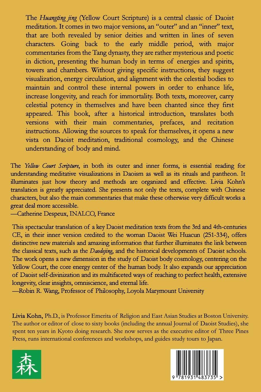 Rückseitencover The Yellow Court Scripture, Vol. 1
