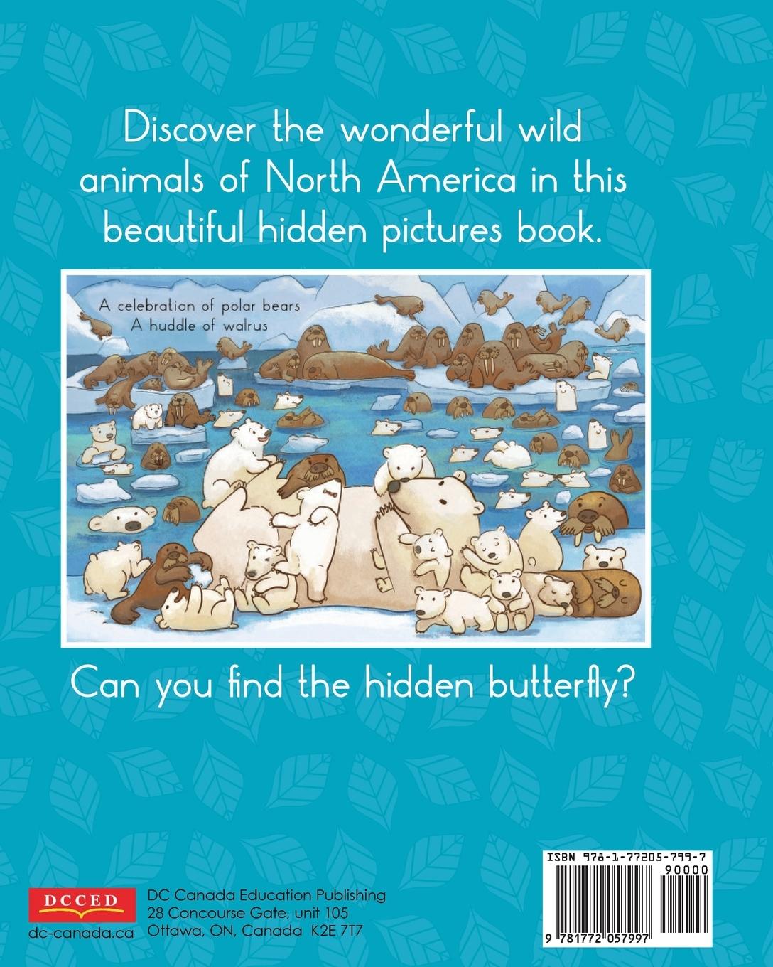 Rückseitencover Hide and Seek