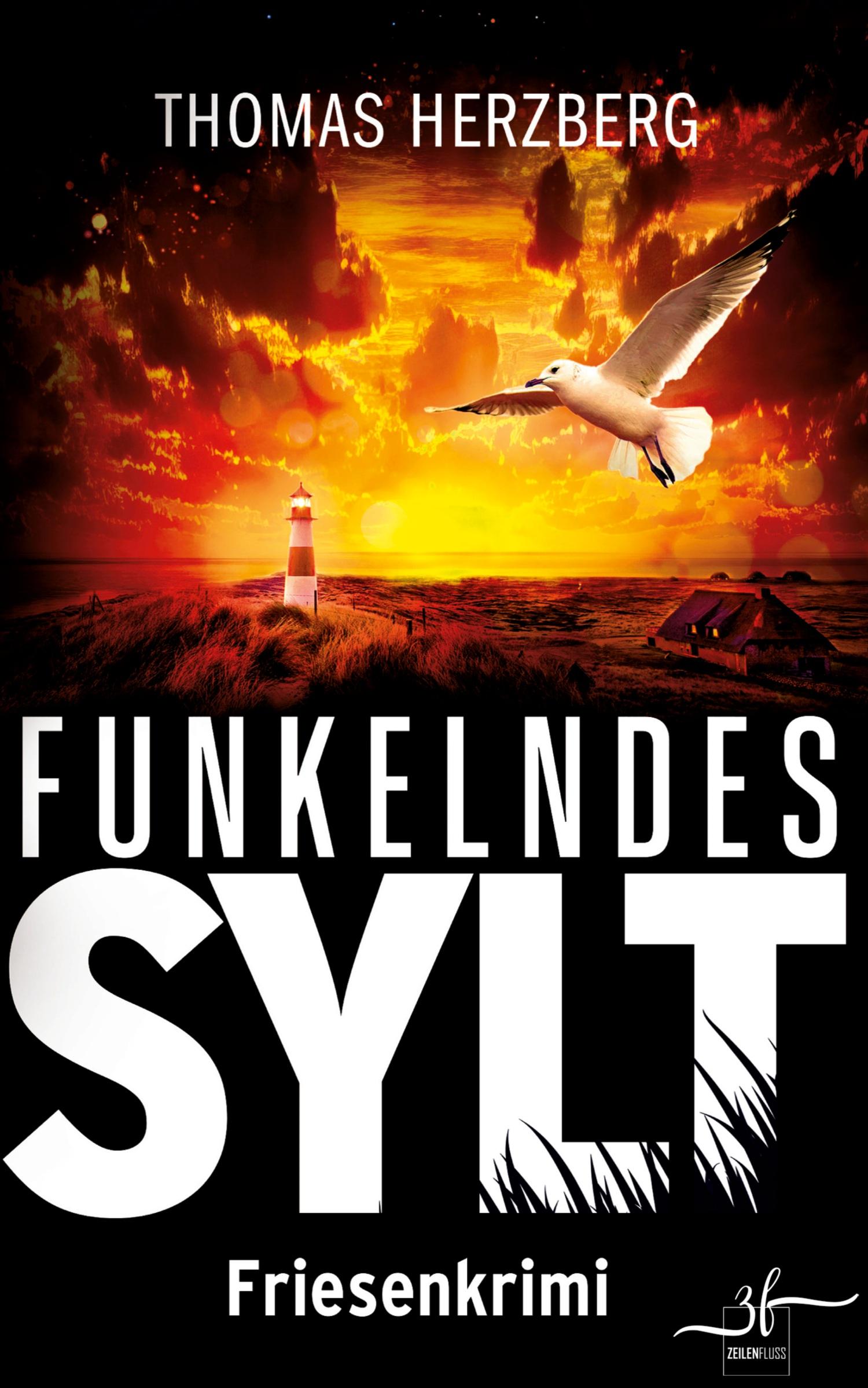 Vorderes Coverbild Funkelndes Sylt
