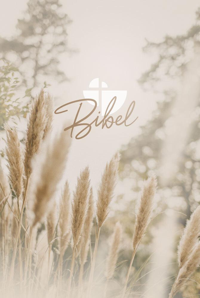 Vorderes Coverbild Schlachter 2000 Bibel - Taschenausgabe (Hardcover, farbiger Einband 'Pampasgras')