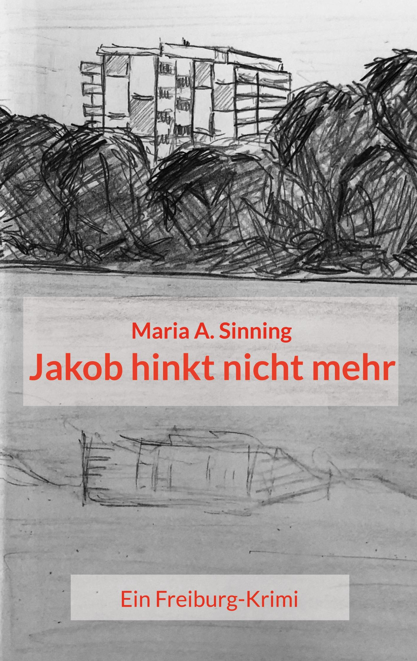 Vorderes Coverbild Jakob hinkt nicht mehr