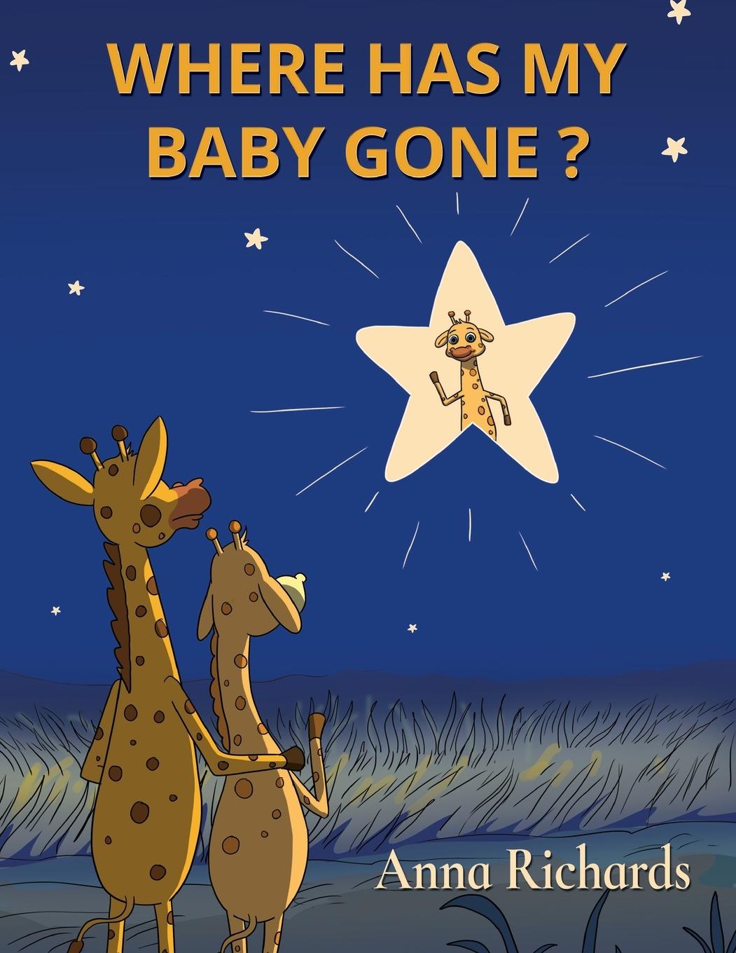 Vorderes Coverbild Where Has My Baby Gone?