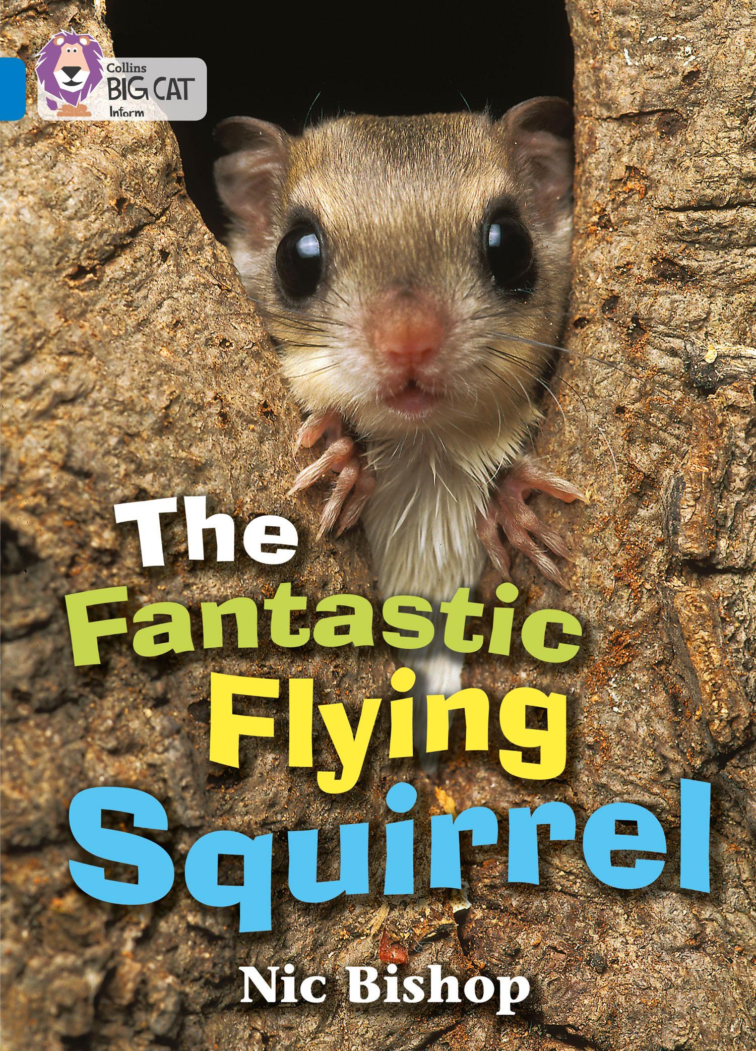 Vorderes Coverbild The Fantastic Flying Squirrel