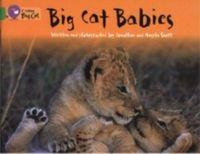 Vorderes Coverbild Big Cat Babies