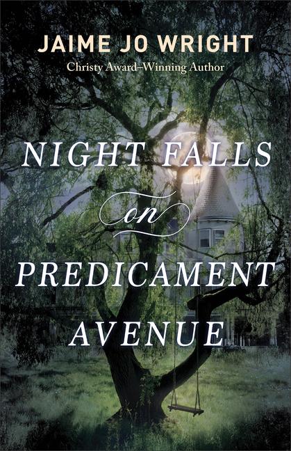 Vorderes Coverbild Night Falls on Predicament Avenue