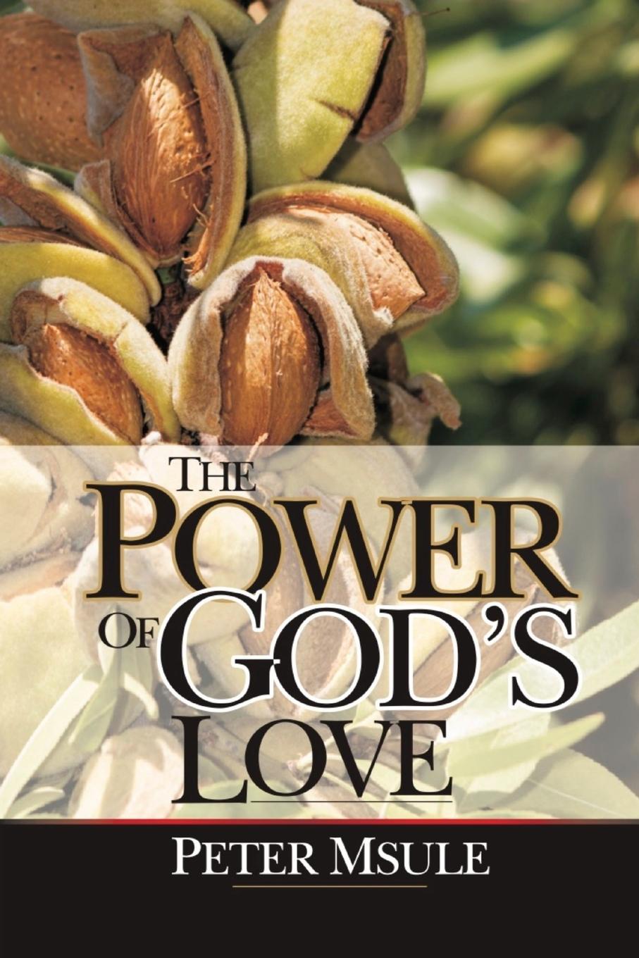 Vorderes Coverbild The Power of God's Love
