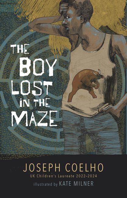 Vorderes Coverbild The Boy Lost in the Maze