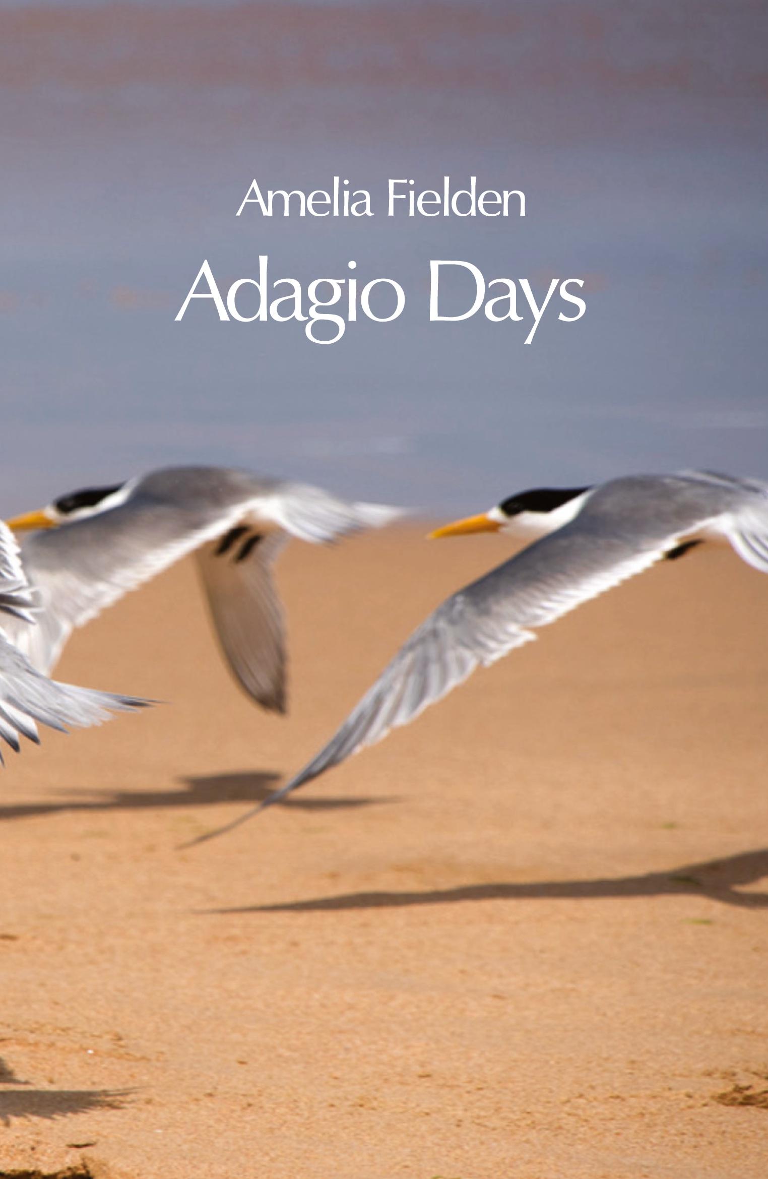 Vorderes Coverbild Adagio Days