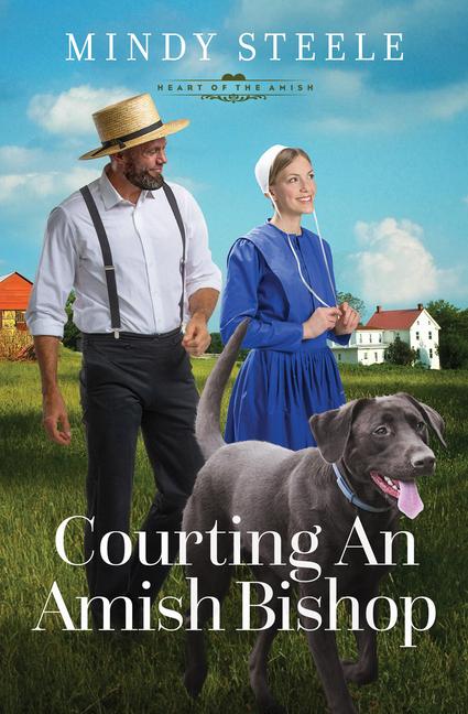 Vorderes Coverbild Courting an Amish Bishop