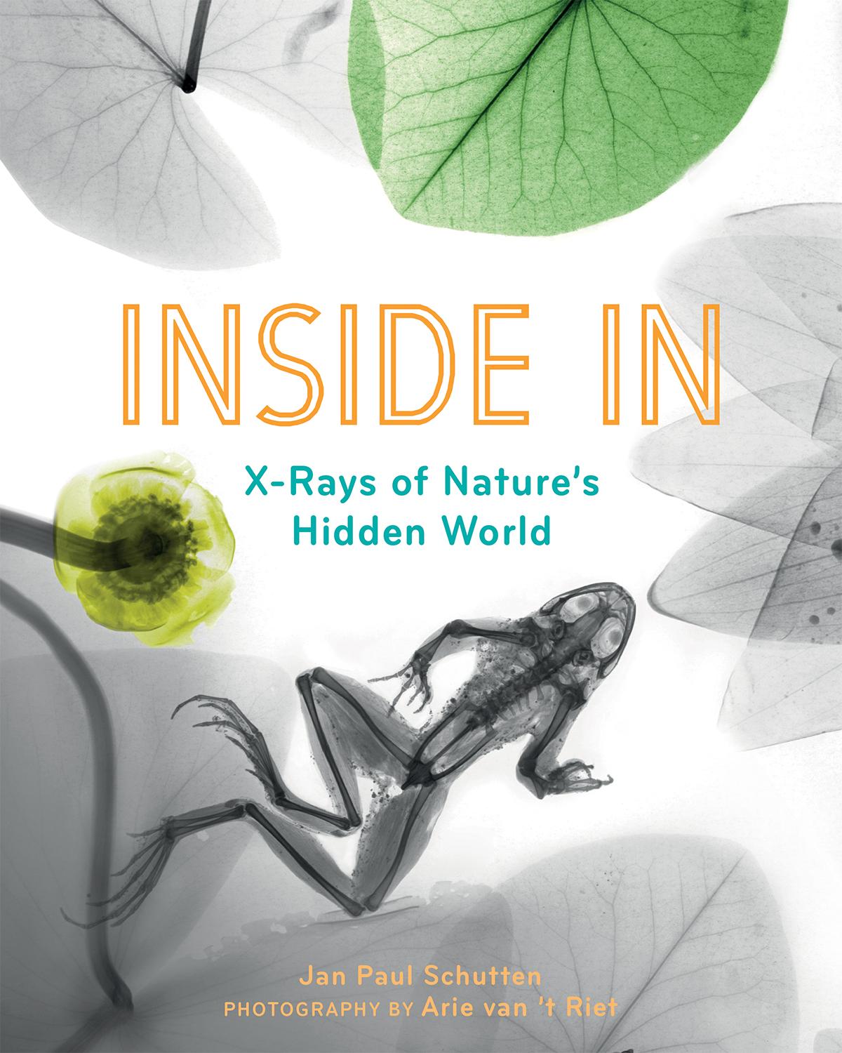 Vorderes Coverbild Inside In
