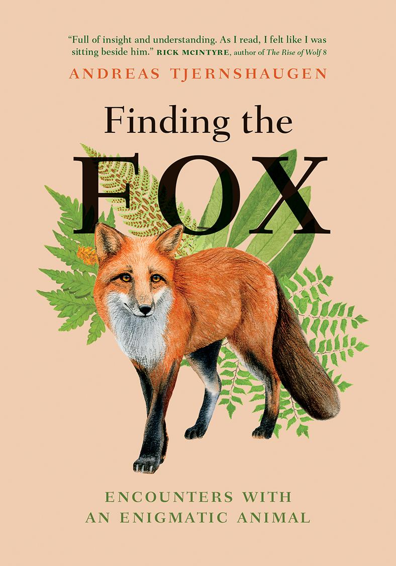 Vorderes Coverbild Finding the Fox