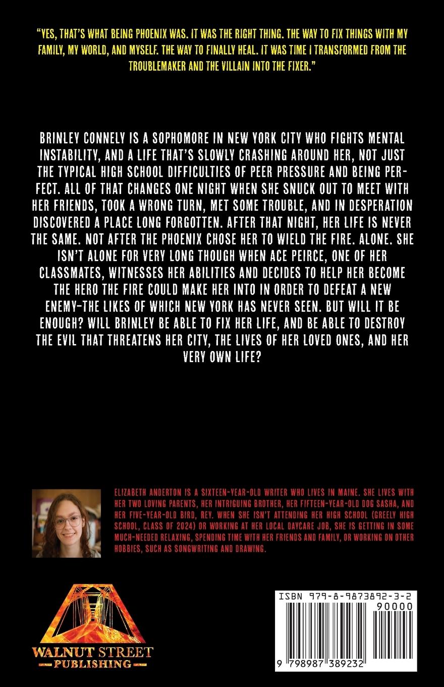 Rückseitencover Heroes of the Flame