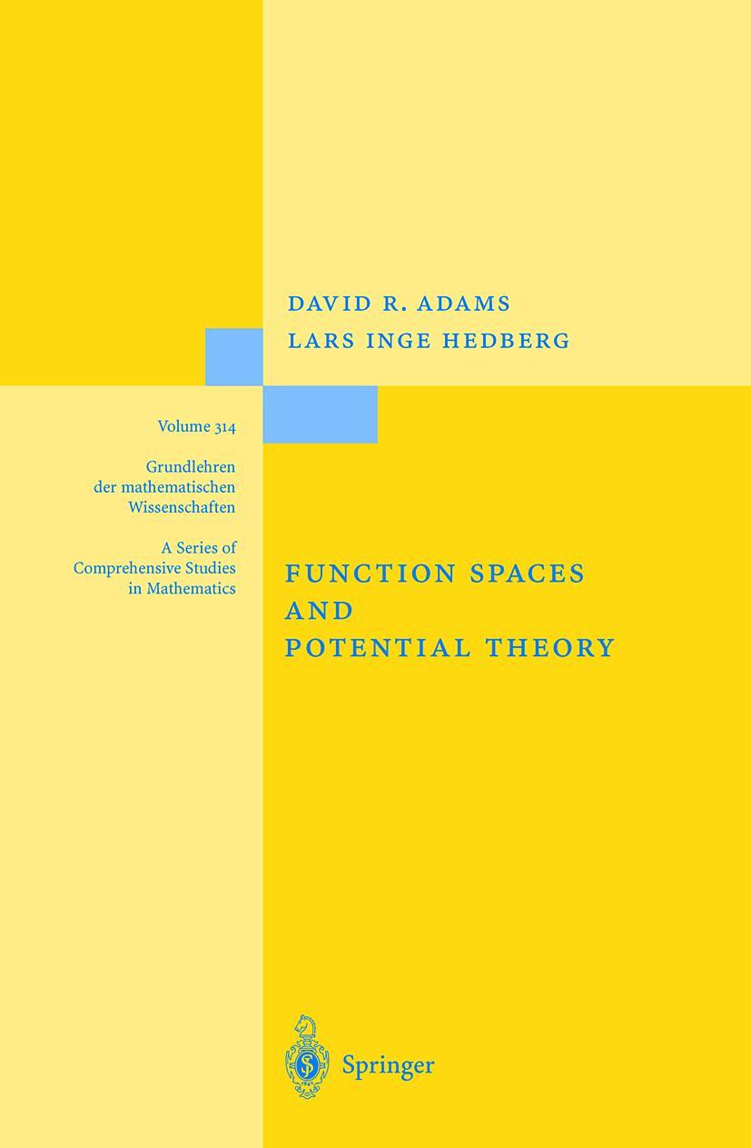 Vorderes Coverbild Function Spaces and Potential Theory