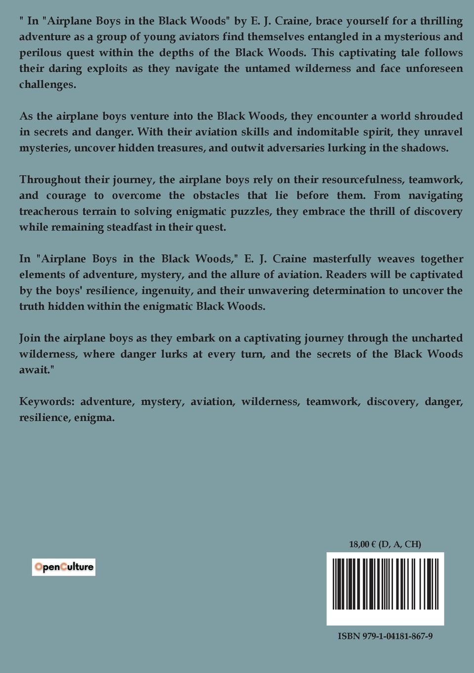 Rückseitencover Airplane Boys In The Black Woods