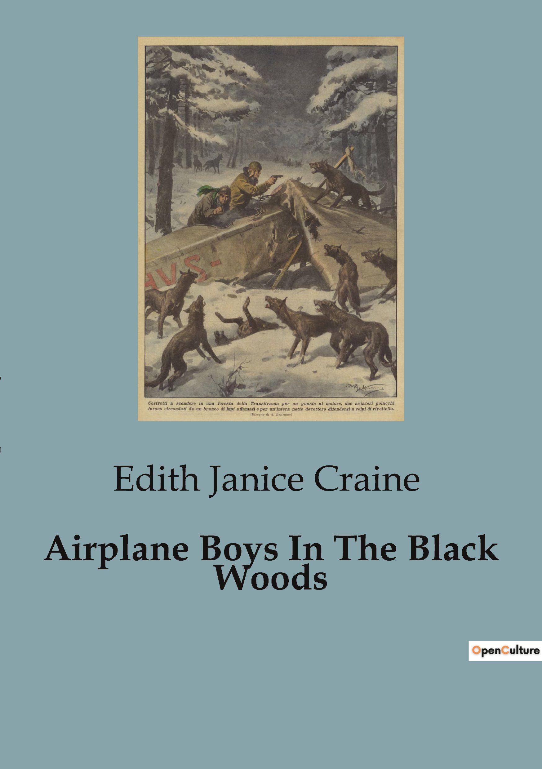 Vorderes Coverbild Airplane Boys In The Black Woods