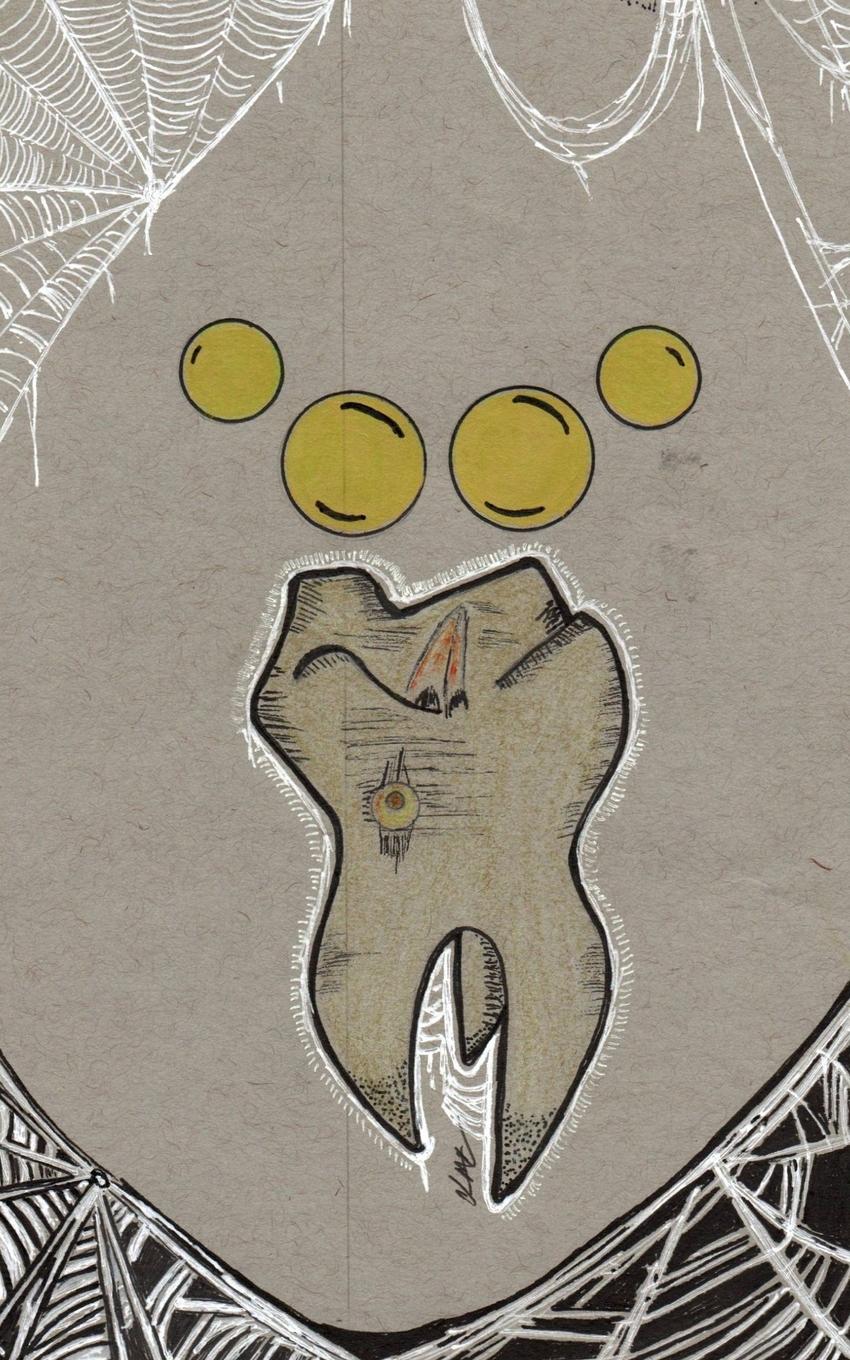 Vorderes Coverbild Tooth-Bird from Nextaro