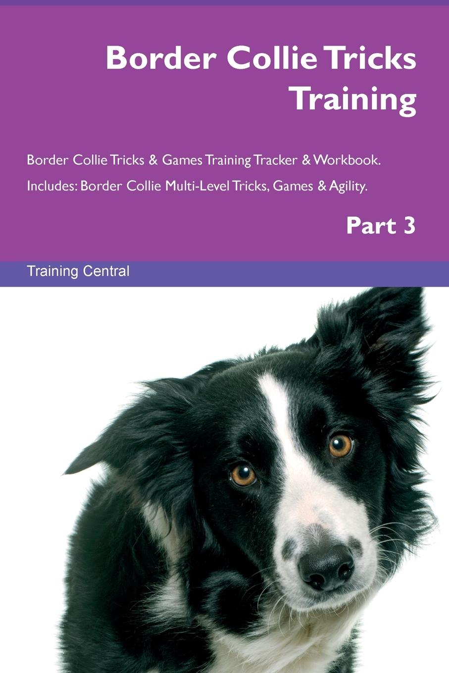 Vorderes Coverbild Border Collie Tricks Training Border Collie Tricks & Games Training Tracker &  Workbook.  Includes