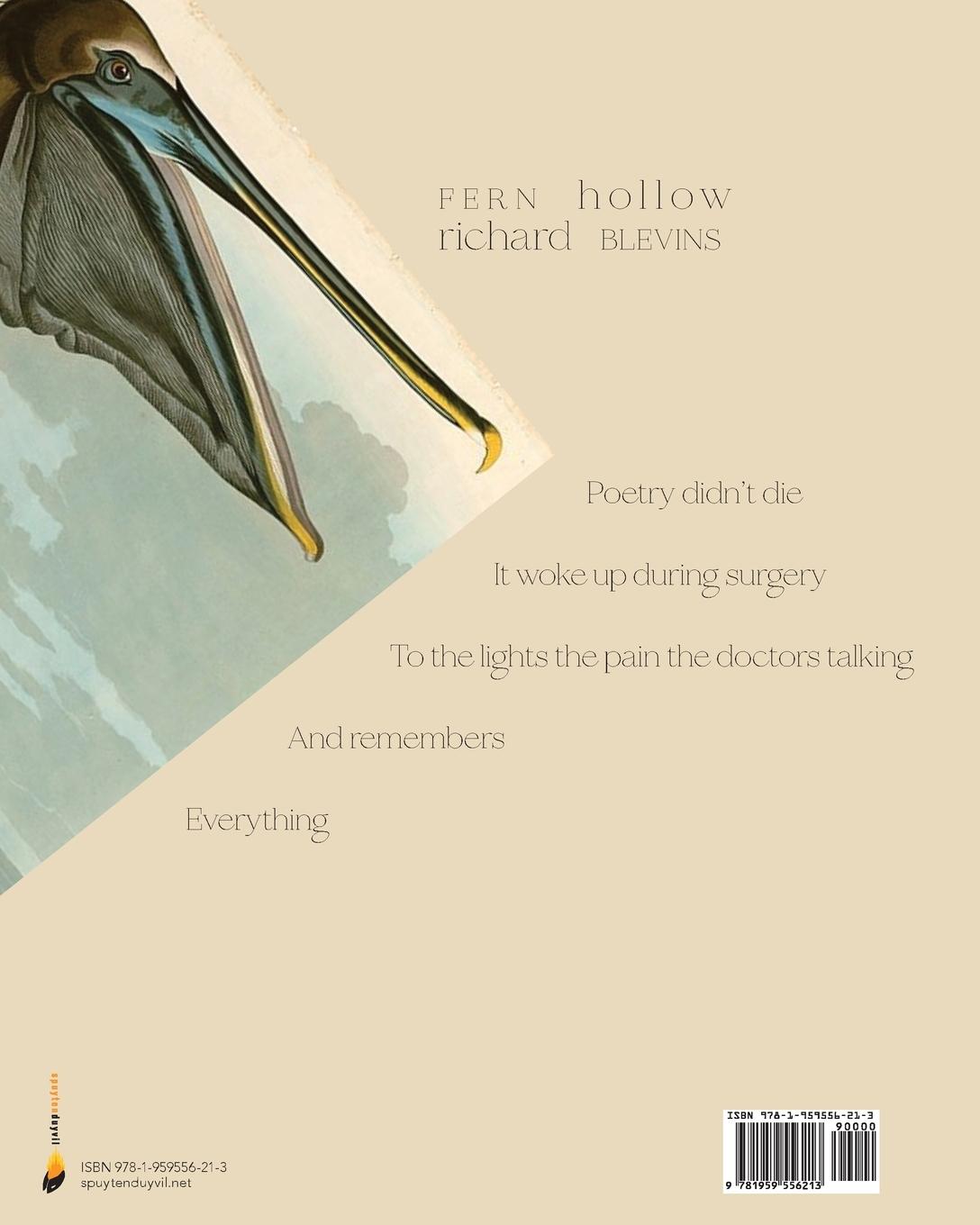 Rückseitencover Fern Hollow