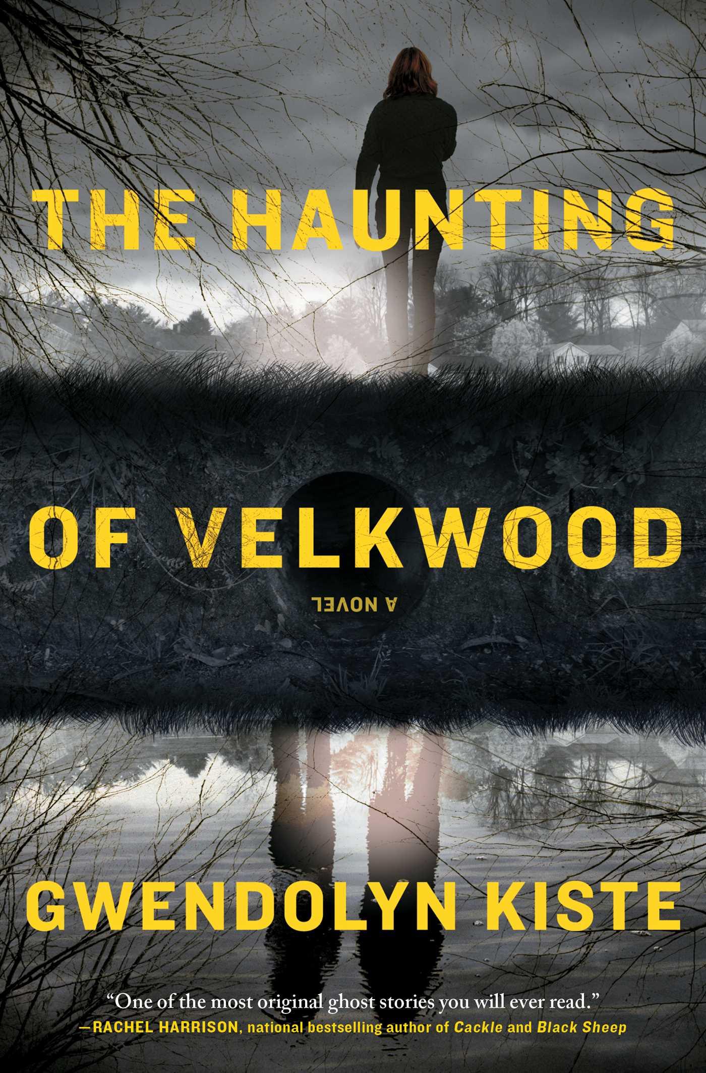 Vorderes Coverbild The Haunting of Velkwood