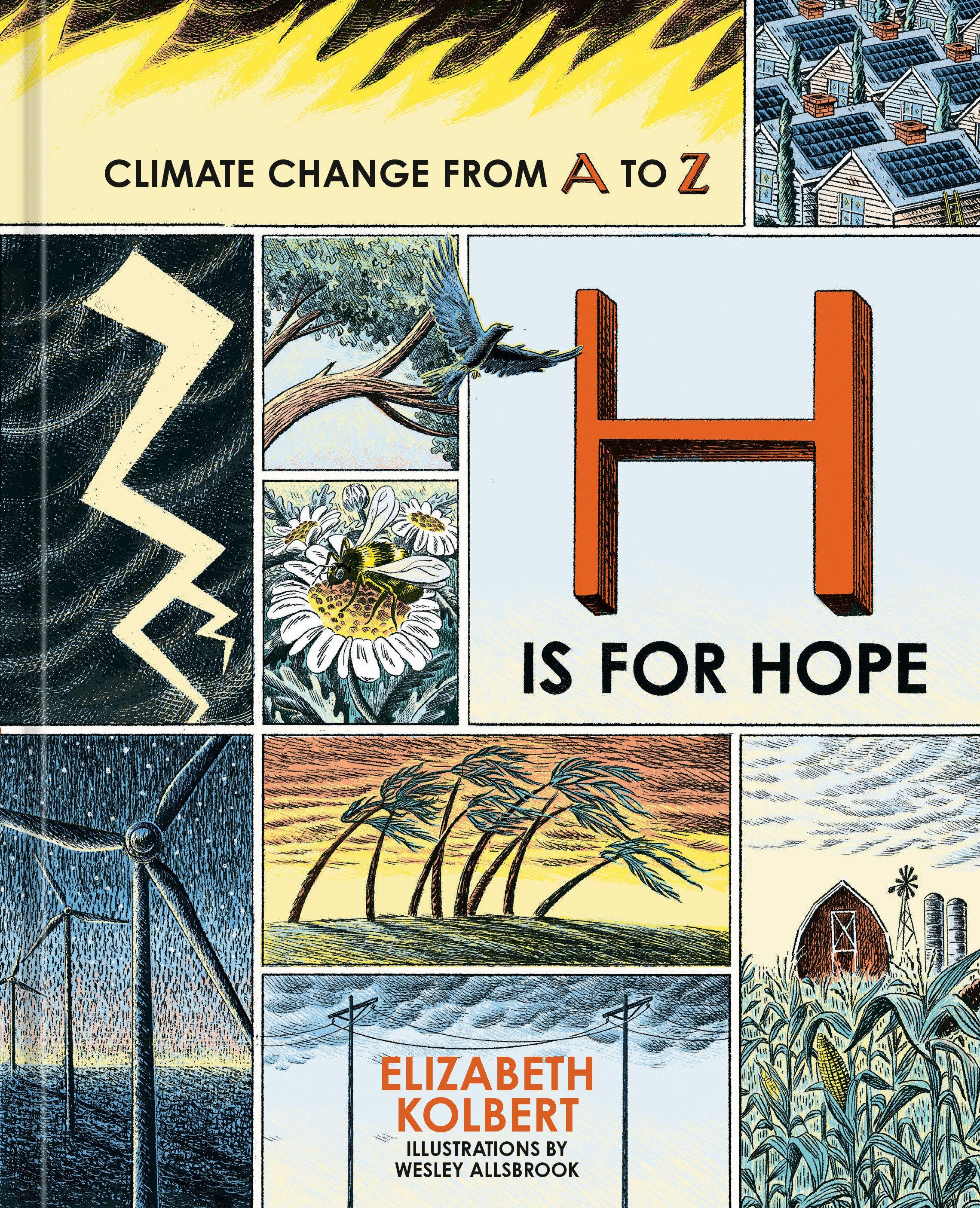 Vorderes Coverbild H Is for Hope