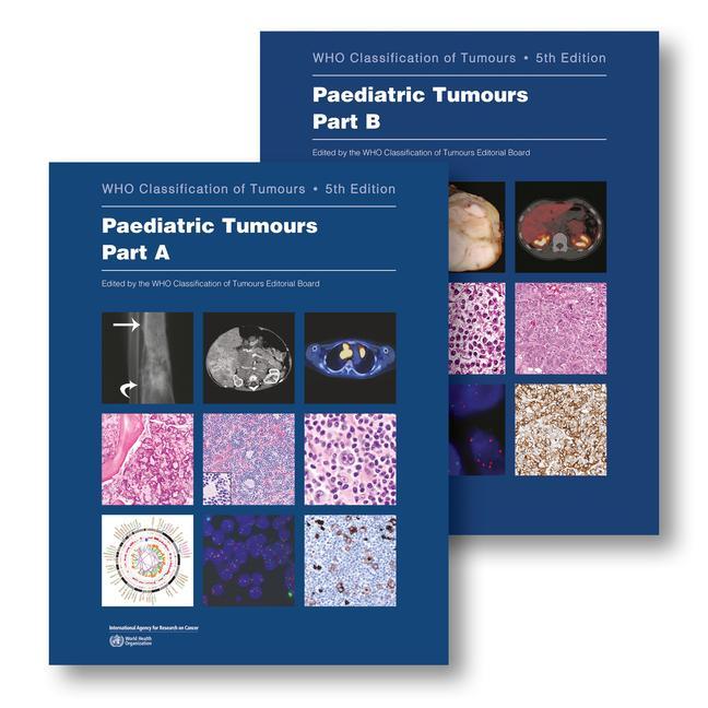 Vorderes Coverbild Paediatric Tumours