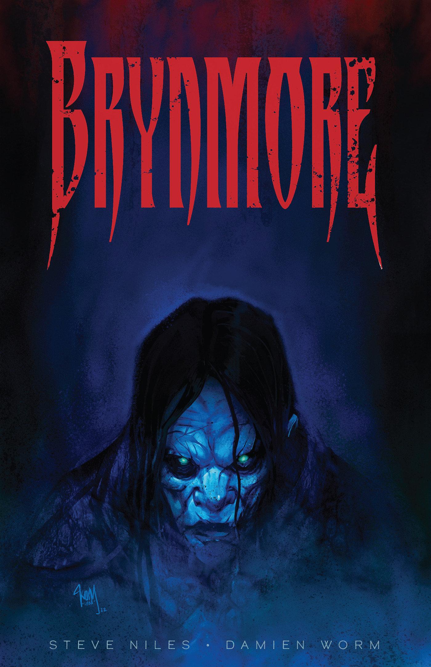 Vorderes Coverbild Brynmore
