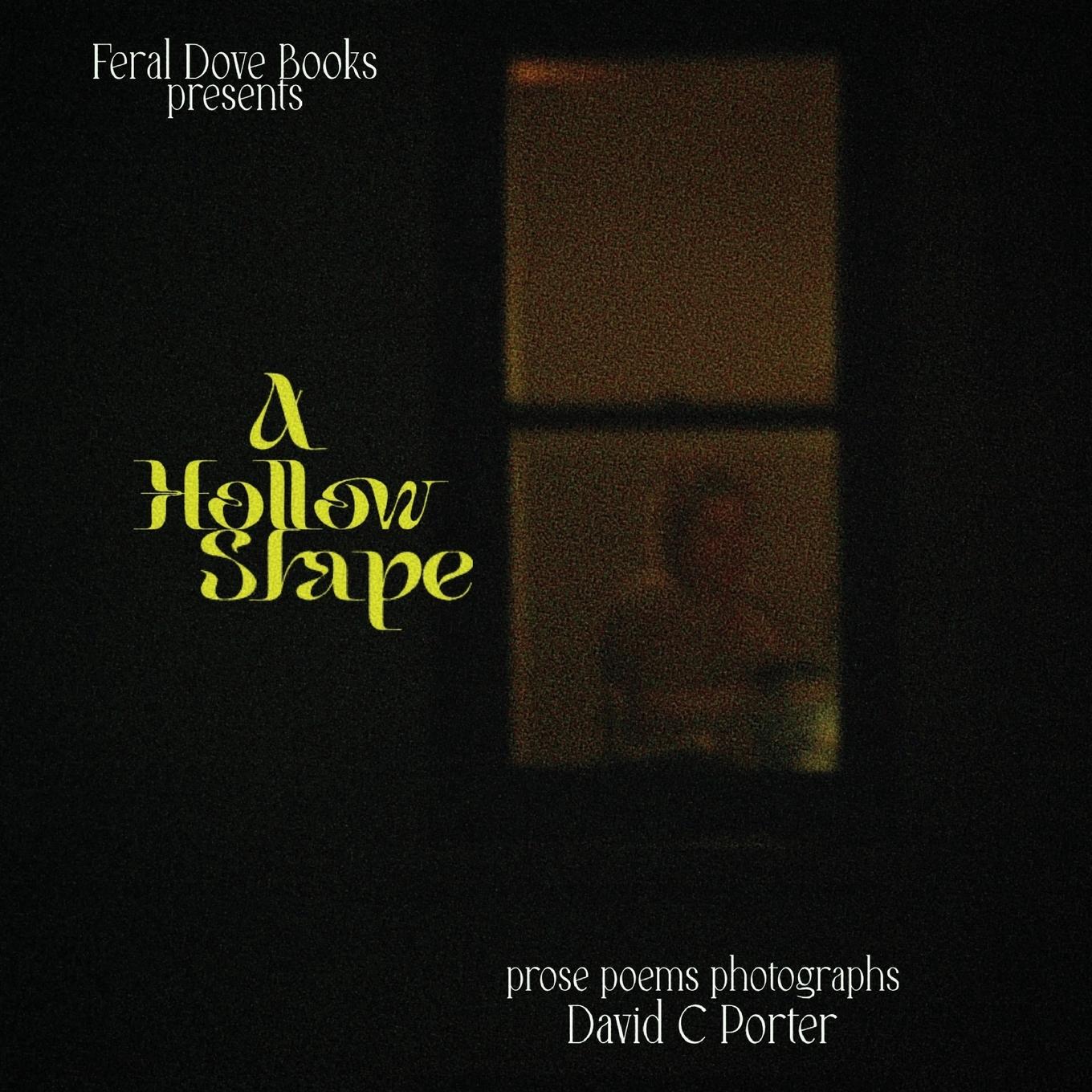 Vorderes Coverbild A Hollow Shape