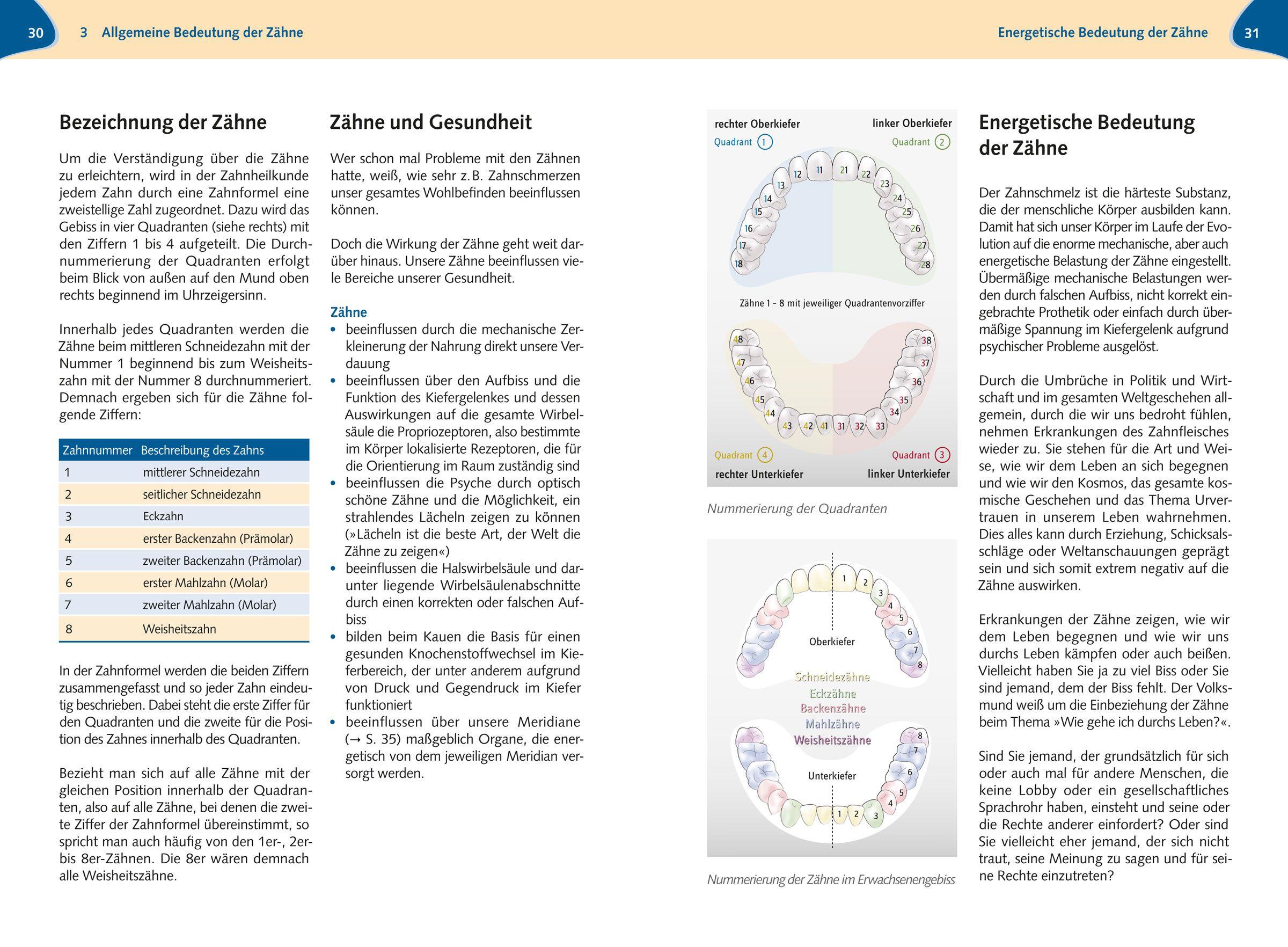 Beispielinhalt (Bild) Zähne und Spagyrik