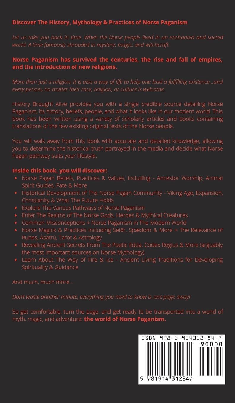 Rückseitencover Norse Paganism for Beginners