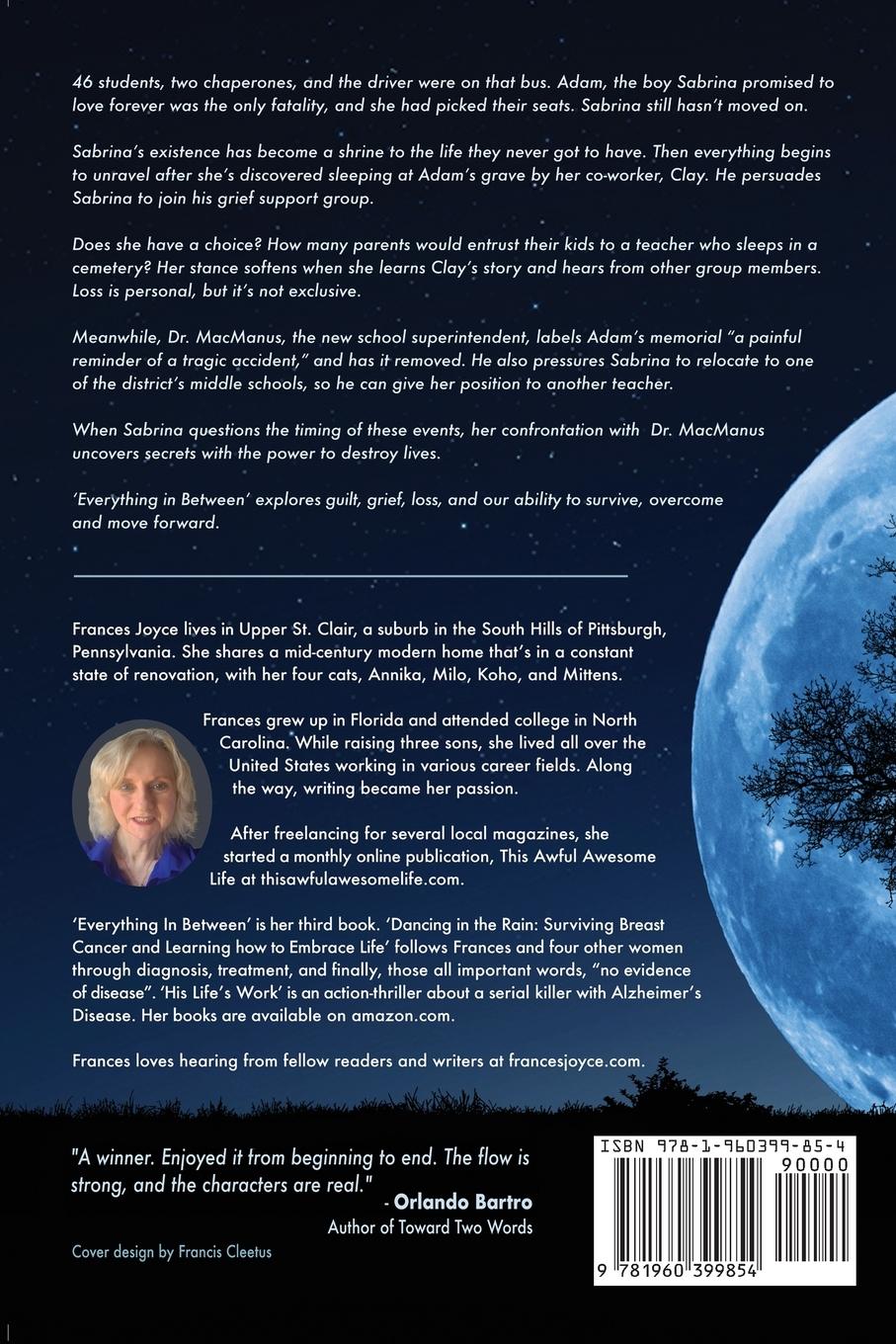 Rückseitencover Everything in Between