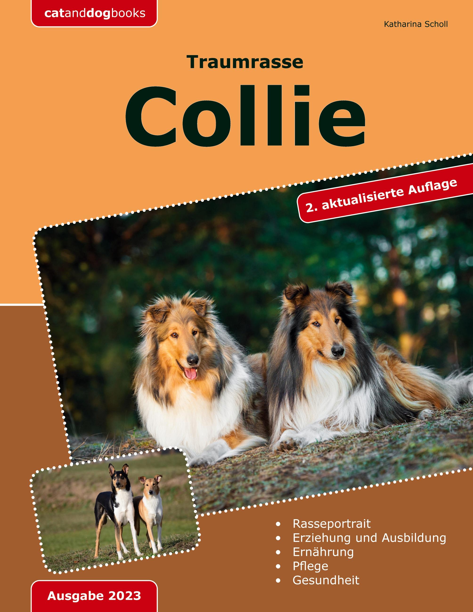 Vorderes Coverbild Traumrasse: Collie