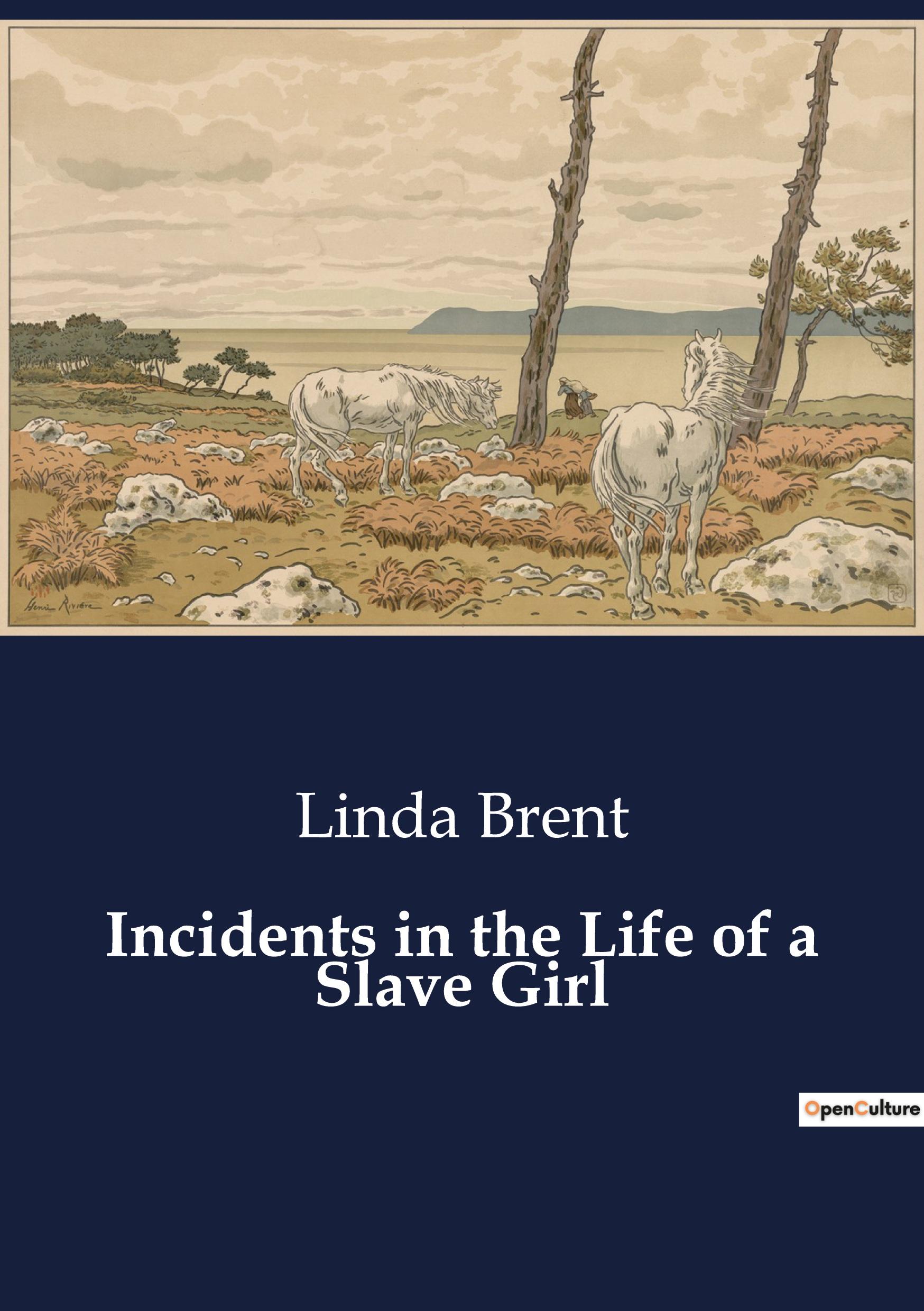 Vorderes Coverbild Incidents in the Life of a Slave Girl