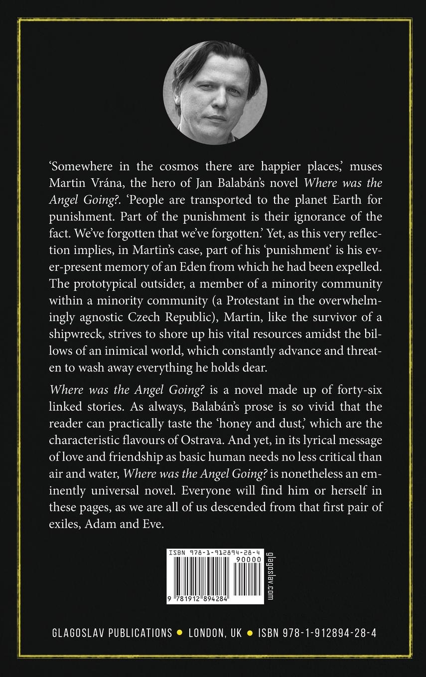 Rückseitencover Where Was the Angel Going?