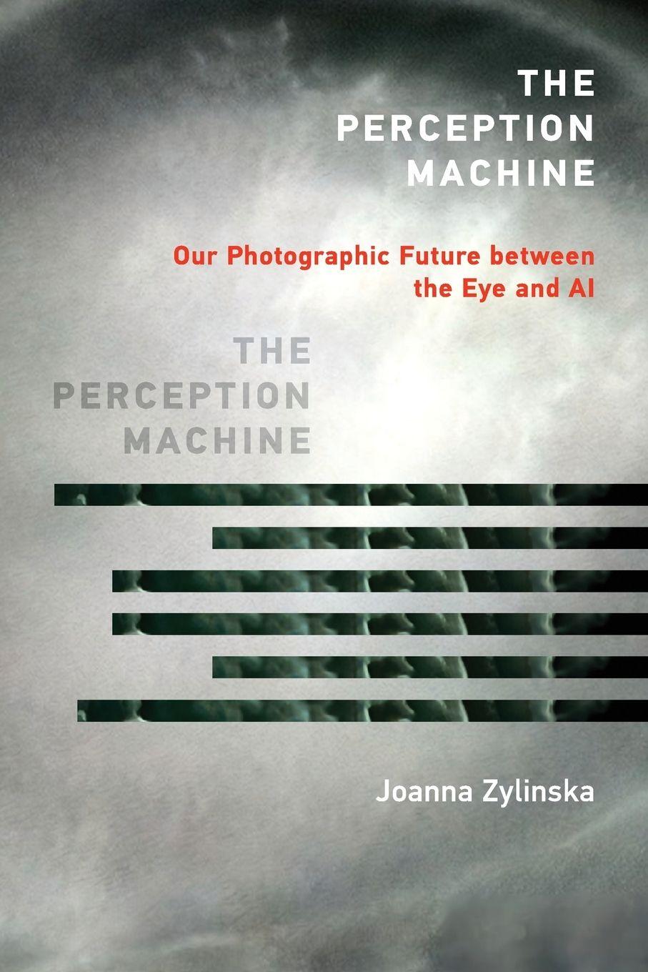 Vorderes Coverbild The Perception Machine