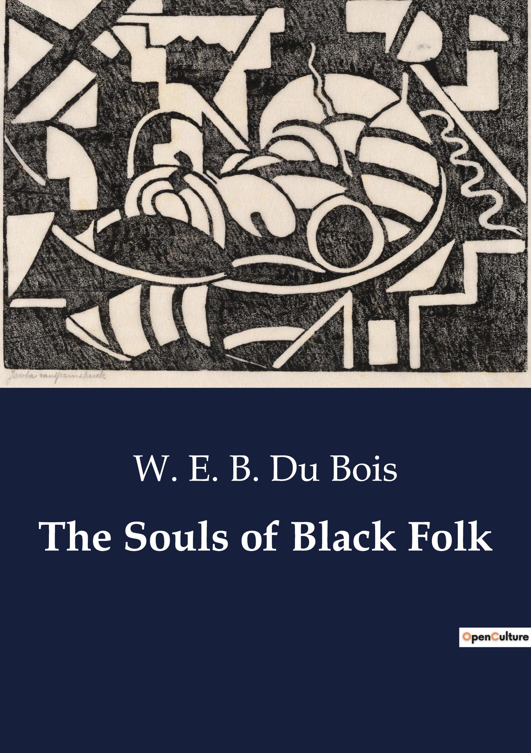 Vorderes Coverbild The Souls of Black Folk
