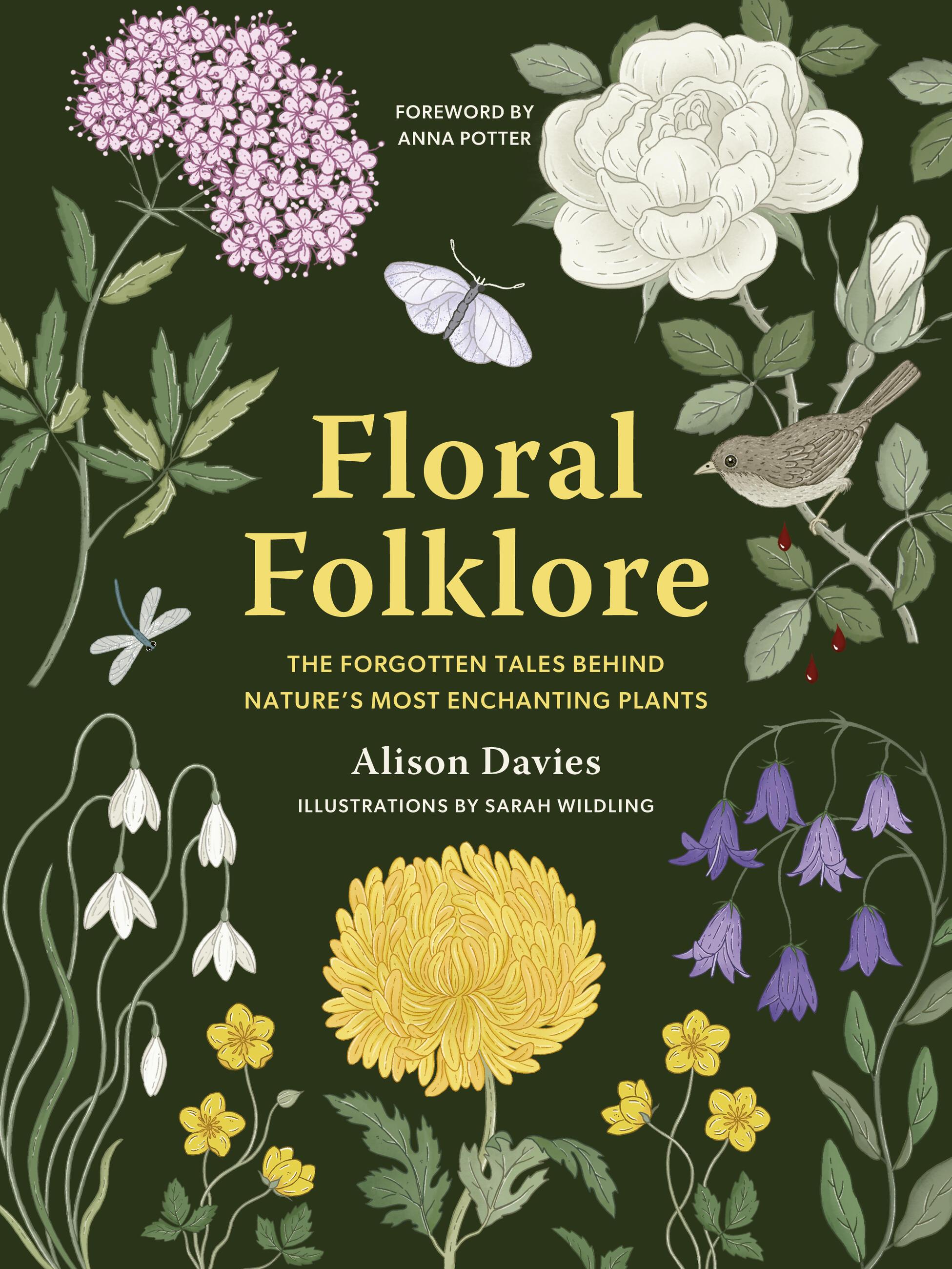 Vorderes Coverbild Floral Folklore