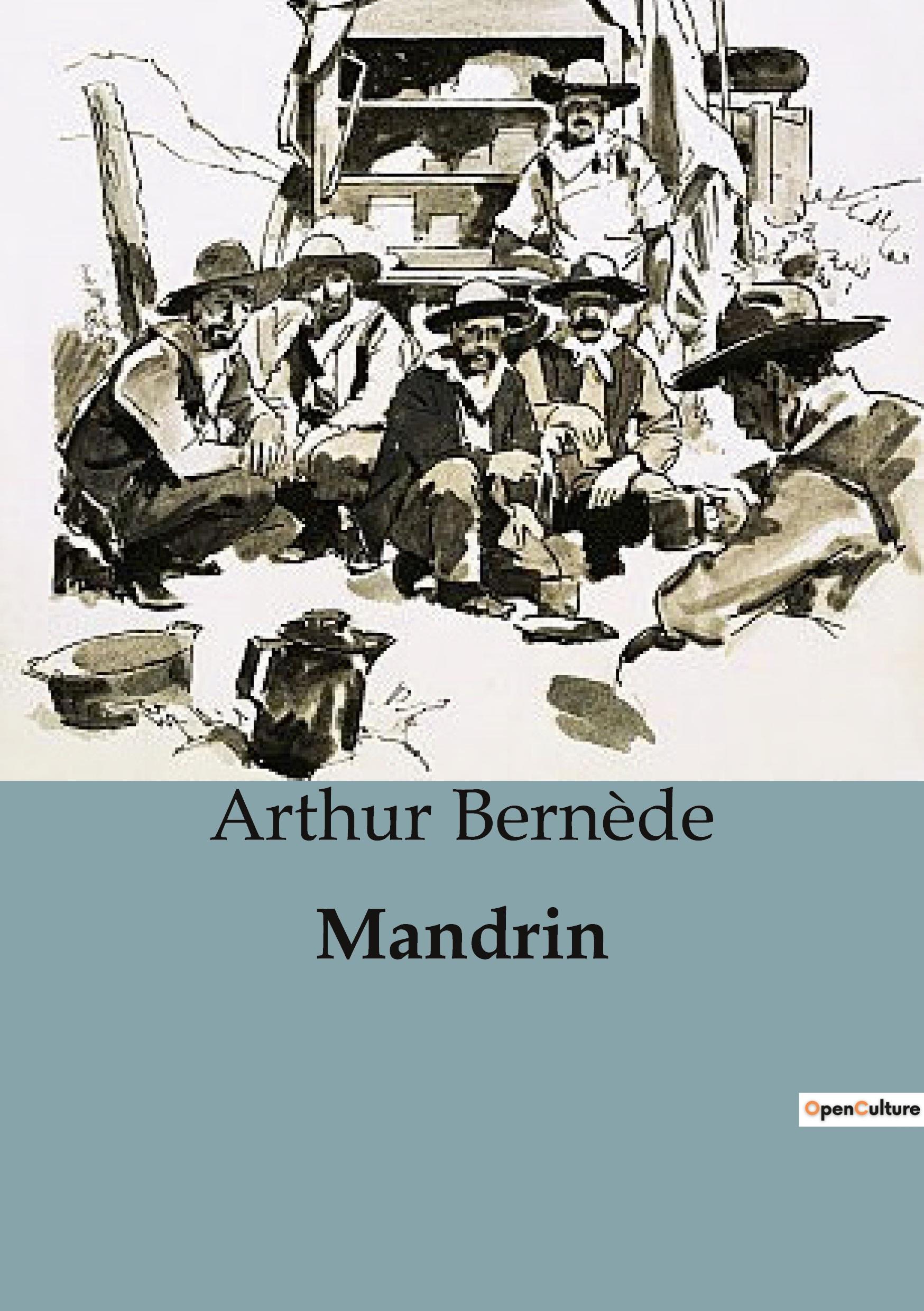 Vorderes Coverbild Mandrin