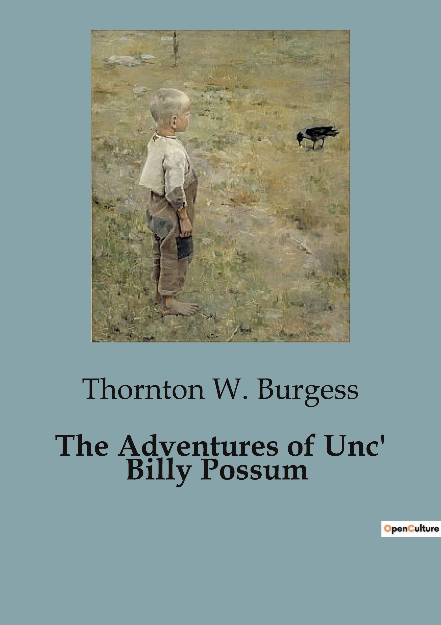 Vorderes Coverbild The Adventures of Unc' Billy Possum
