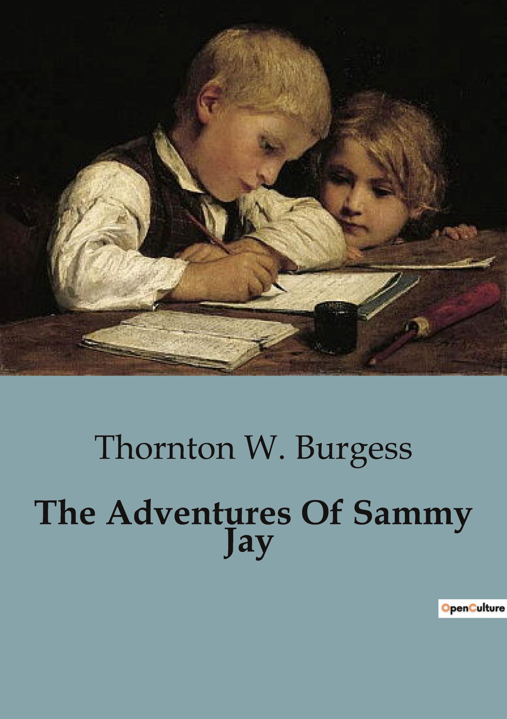 Vorderes Coverbild The Adventures Of Sammy Jay