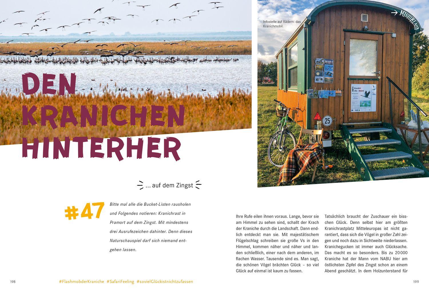 Beispielinhalt (Bild) 52 kleine & große Eskapaden in Mecklenburg-Vorpommern an der Ostsee