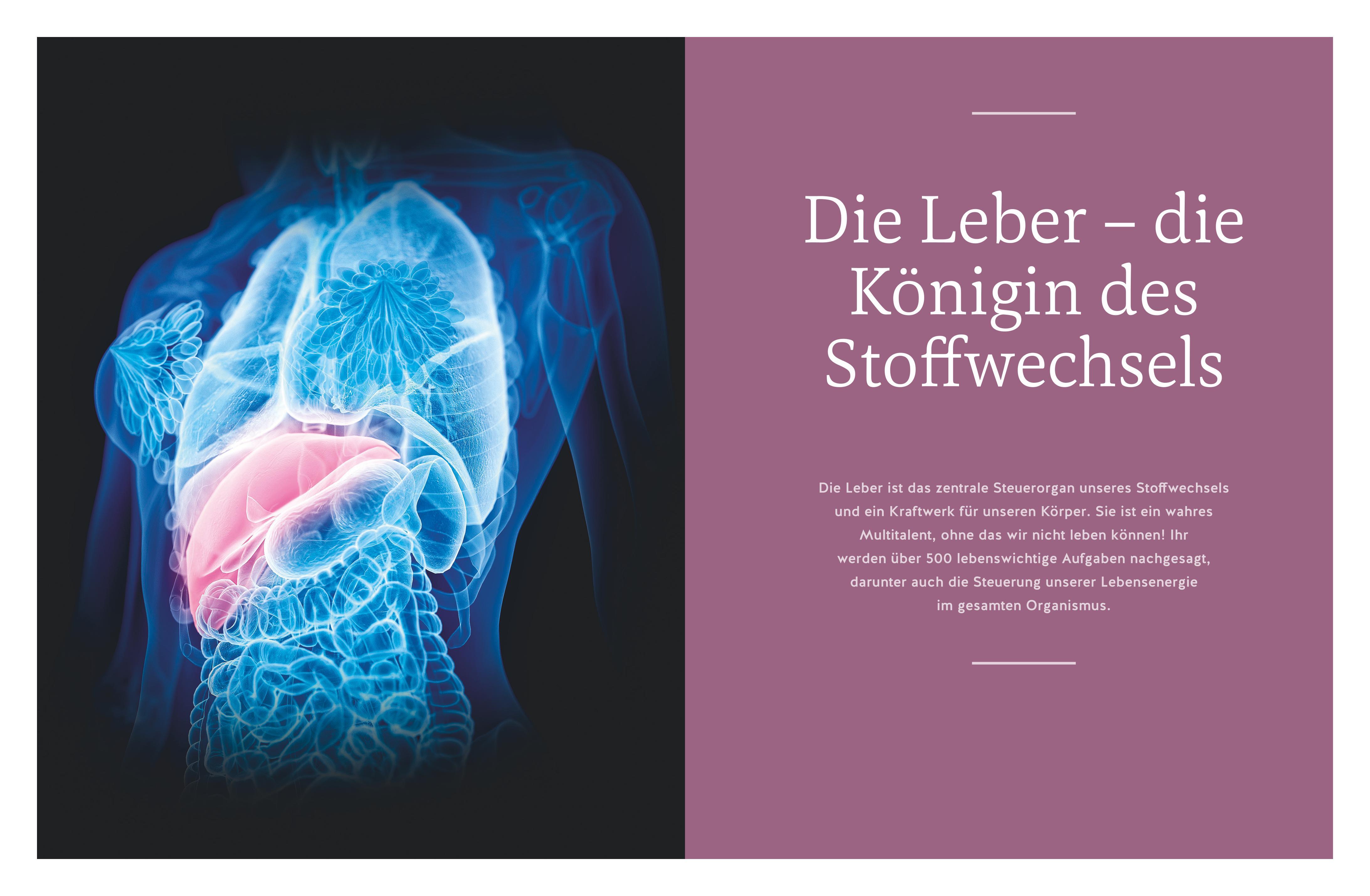 Beispielinhalt (Bild) Die revolutionäre 9-Tage-Leber-Kur