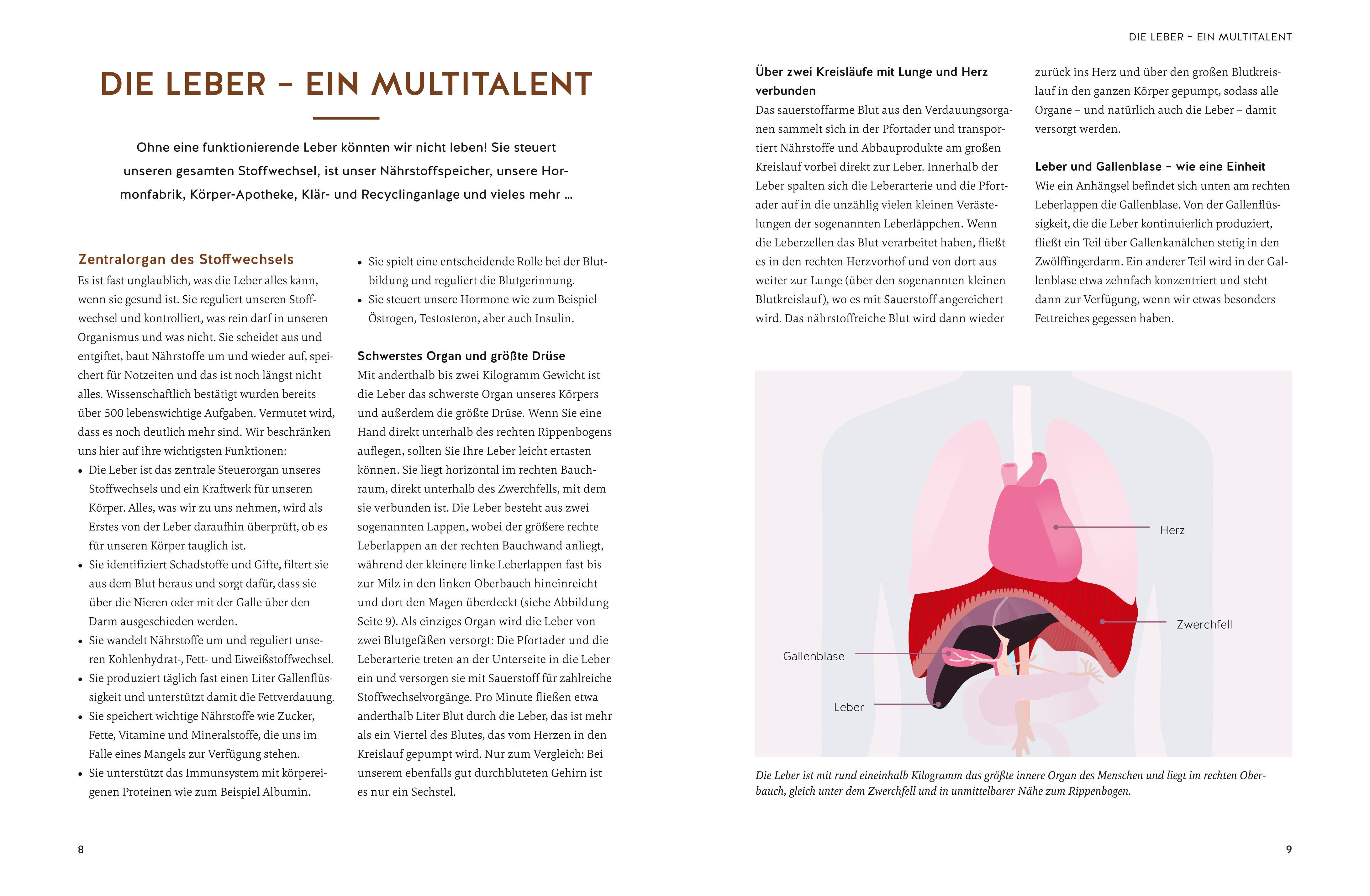 Beispielinhalt (Bild) Die revolutionäre 9-Tage-Leber-Kur