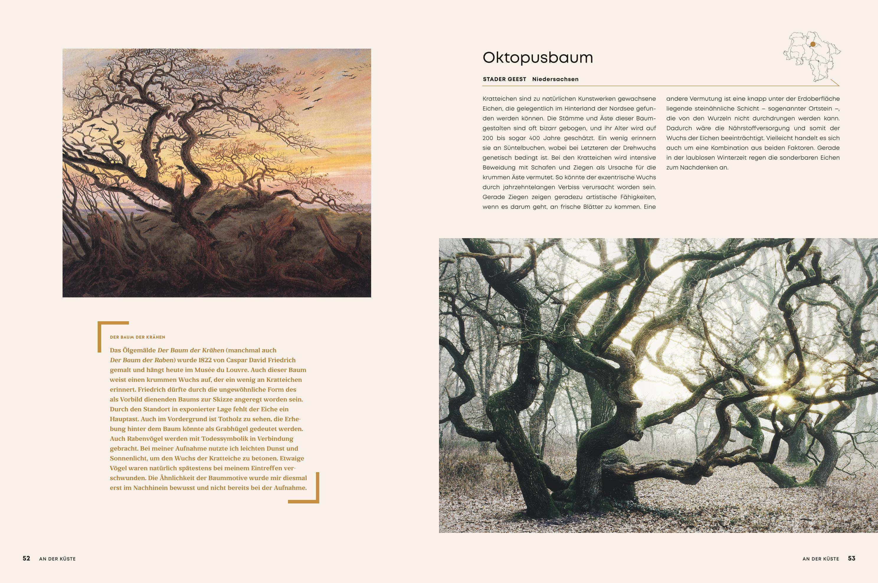 Beispielinhalt (Bild) Lockruf der Einsamkeit