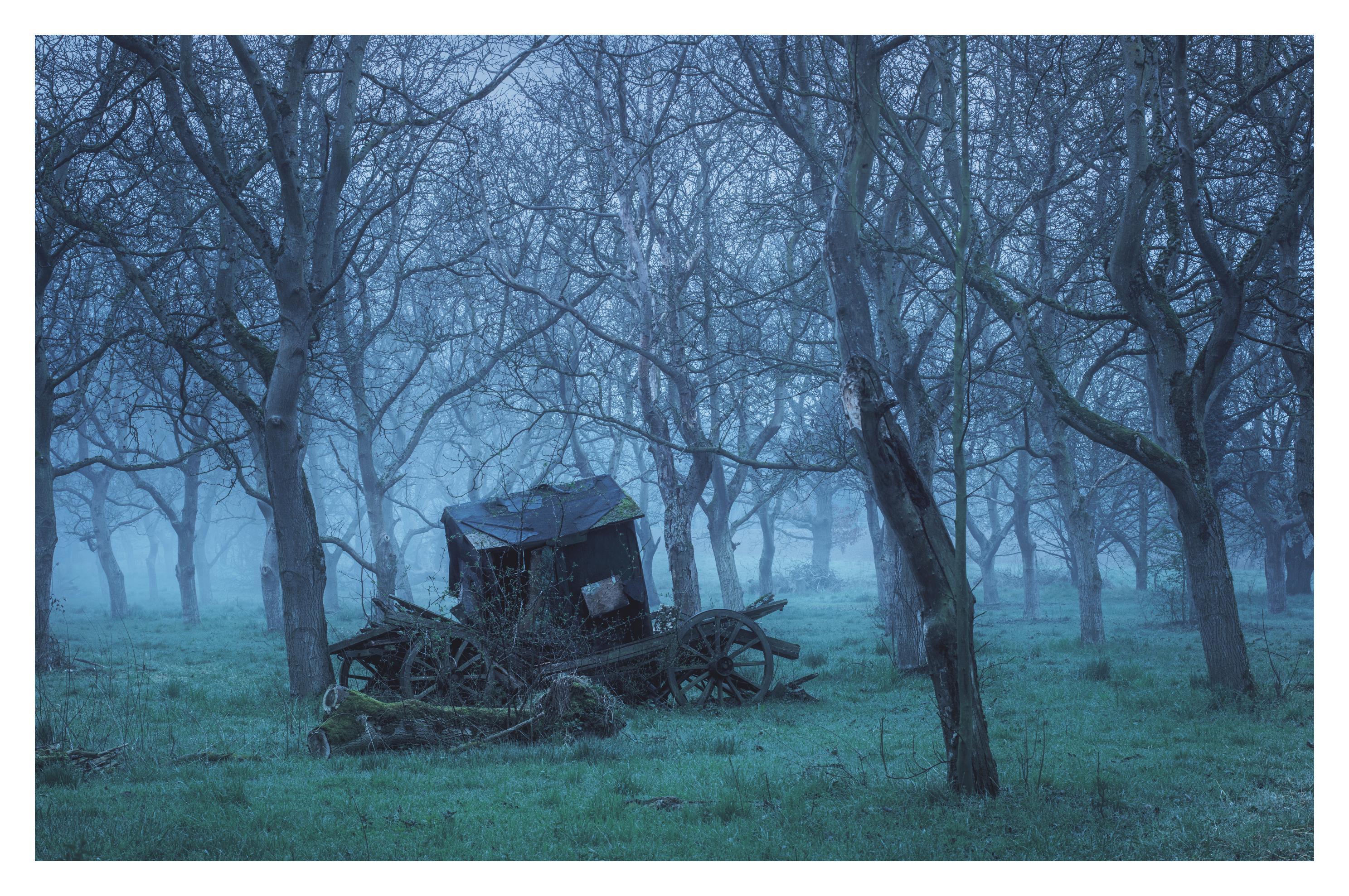 Beispielinhalt (Bild) Lockruf der Einsamkeit