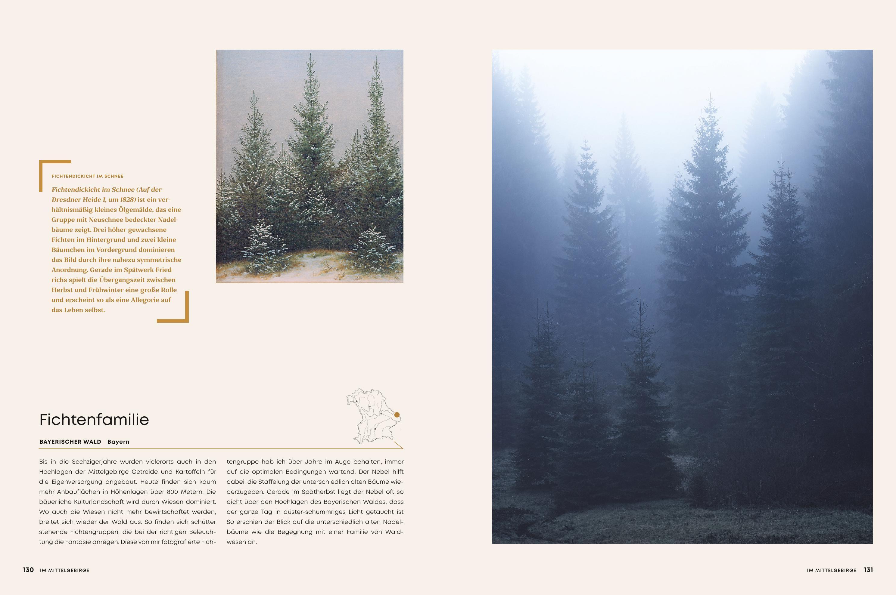 Beispielinhalt (Bild) Lockruf der Einsamkeit