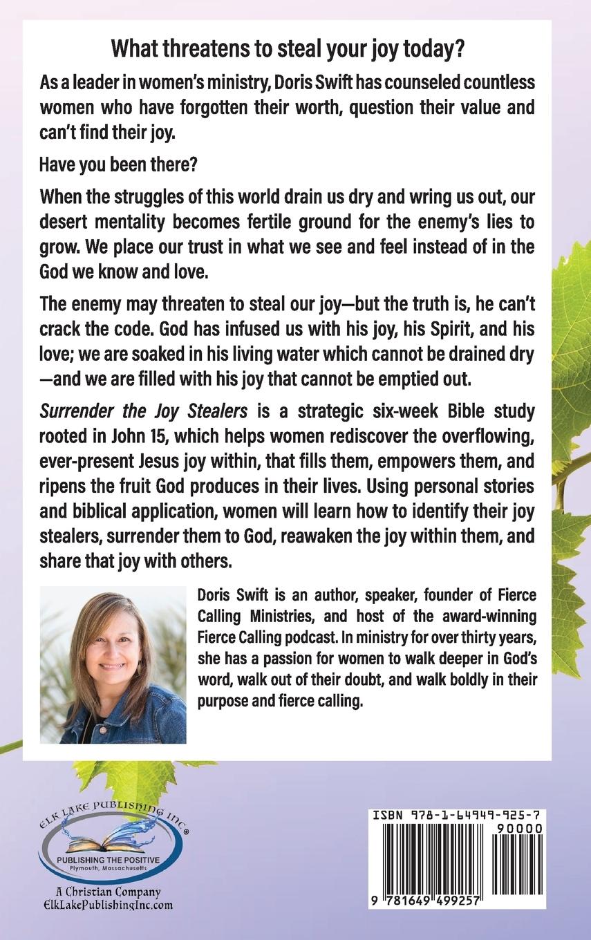 Rückseitencover Surrender the Joy Stealers