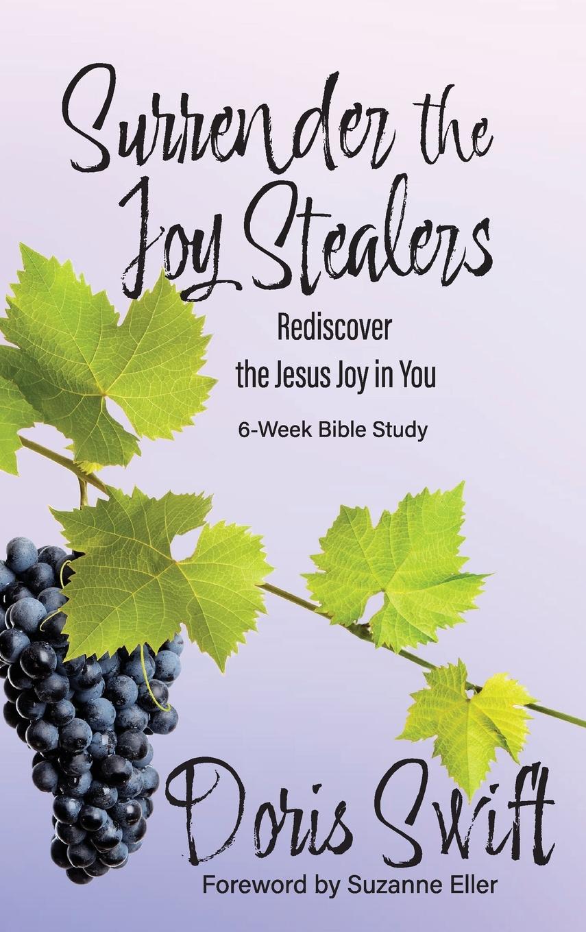 Vorderes Coverbild Surrender the Joy Stealers