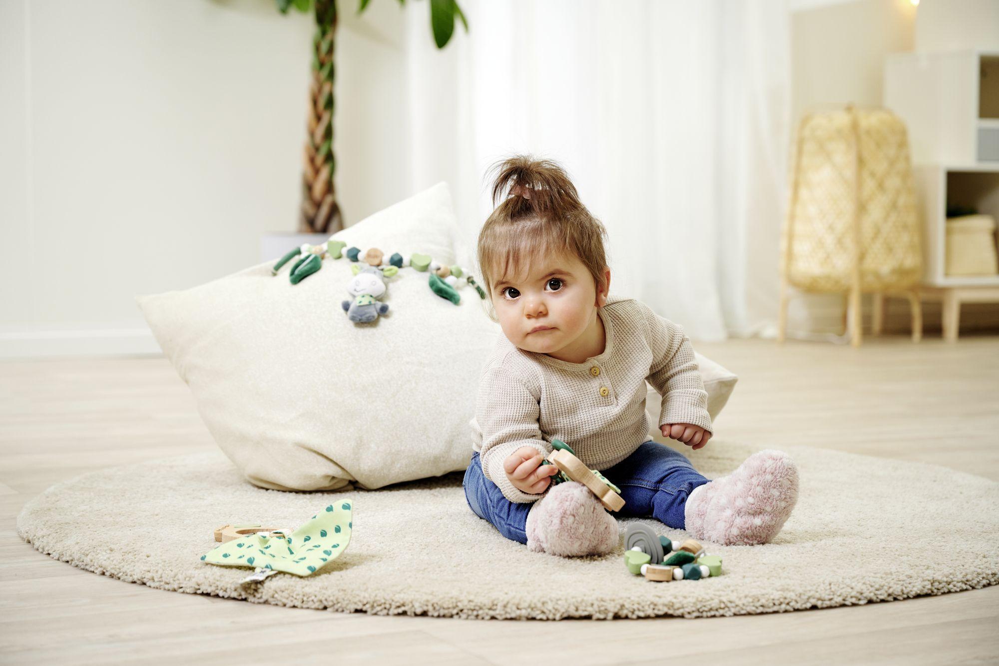 Beispielinhalt (Bild) EH Baby HiPP Wagenkette